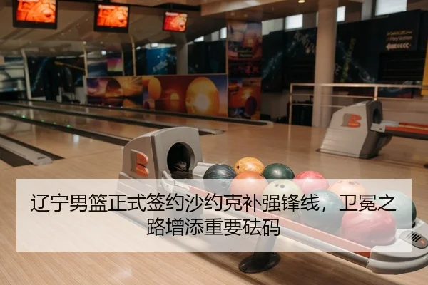 辽宁男篮正式签约沙约克补强锋线，卫冕之路增添重要砝码